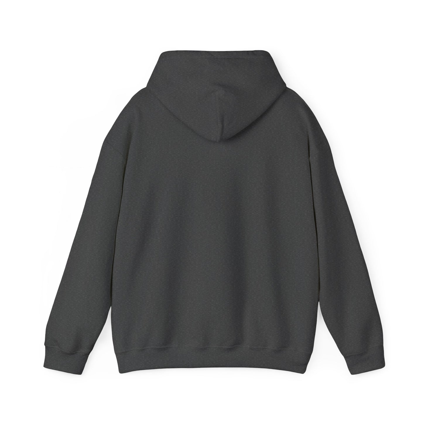 Vintage-Inspired Unisex Hooded Sweatshirt